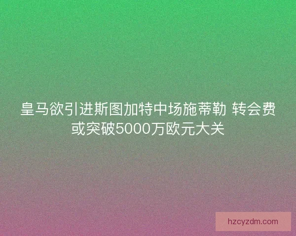 皇马欲引进斯图加特中场施蒂勒 转会费或突破5000万欧元大关 皇马欲引进斯图加特中场施蒂勒 转会费或突破5000万欧元大关
